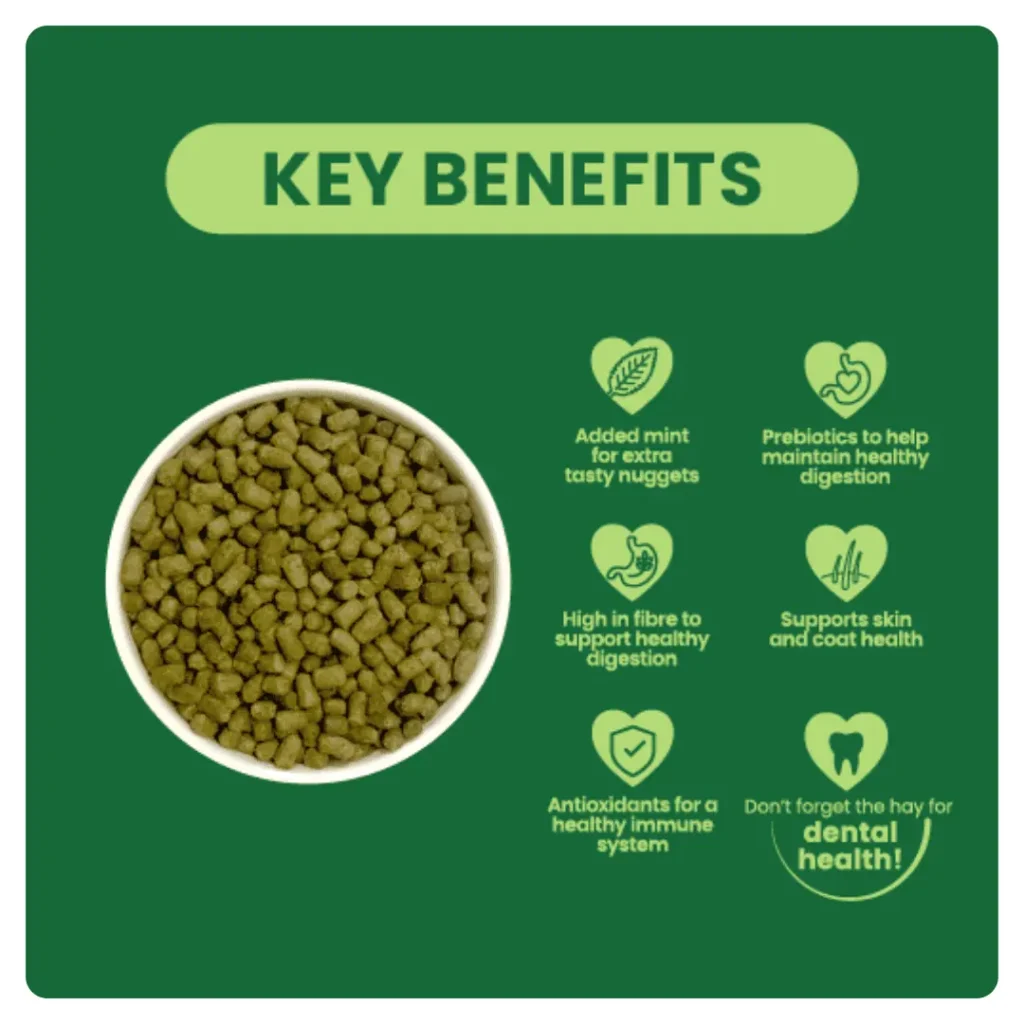 adult mint key benefits