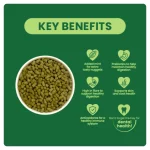 adult mint key benefits